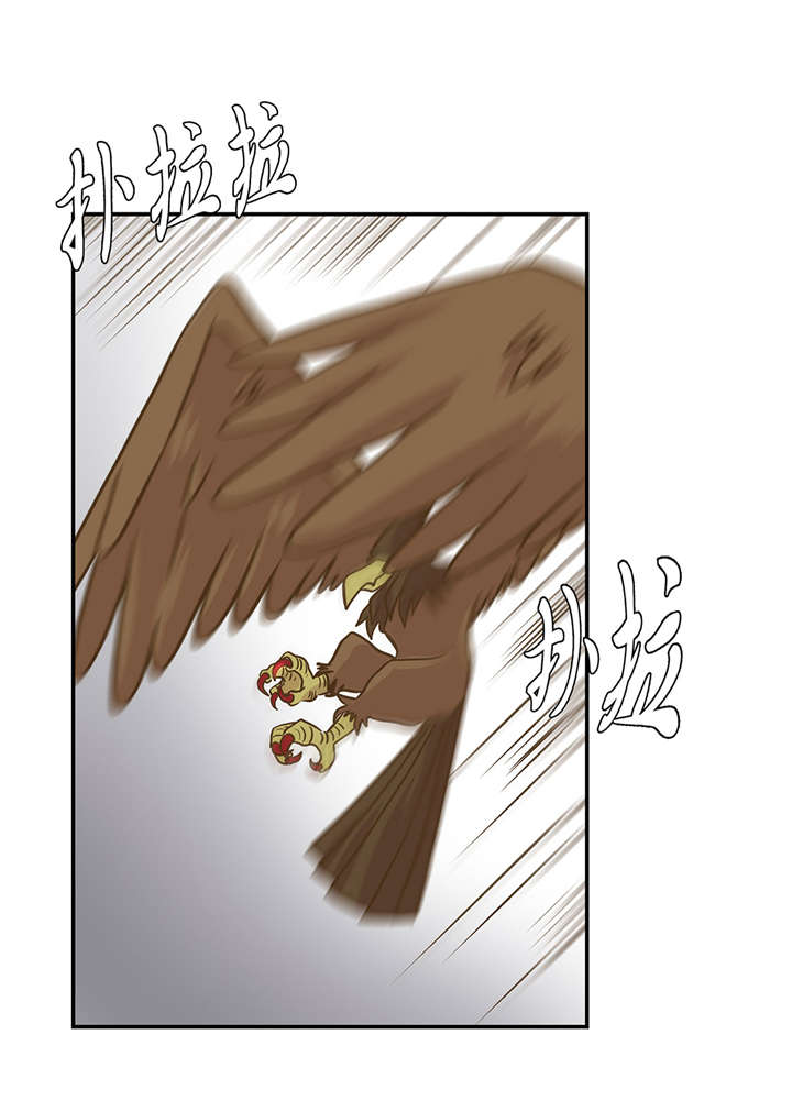 奇妙的动物世界电影漫画,第14章：不是动物1图