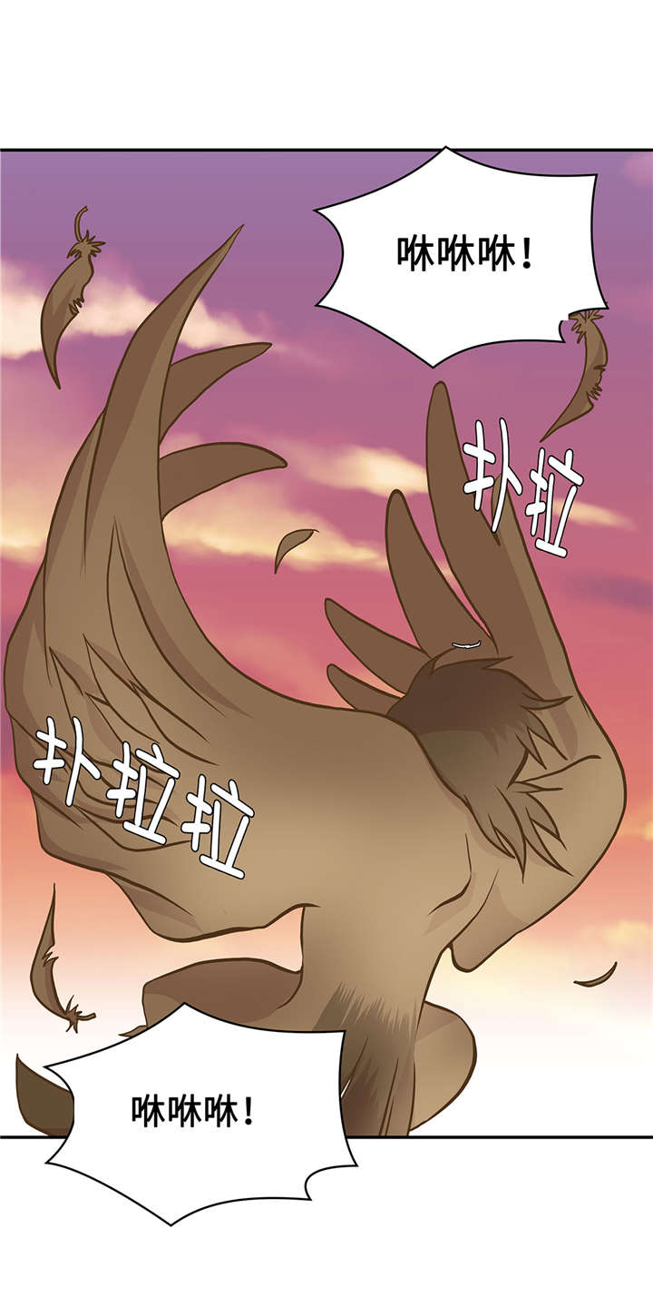 小学课外书奇妙的动物漫画,第15章：什么都做不了1图