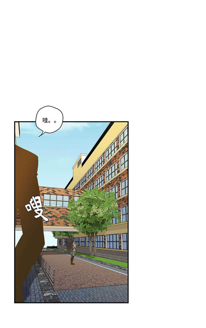 奇妙的动物 儿童动画漫画,第3章： 偶遇（下）4图