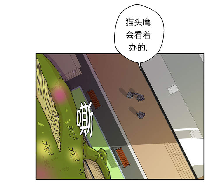 奇妙的动物世界作文600字漫画,第36章：是龙1图