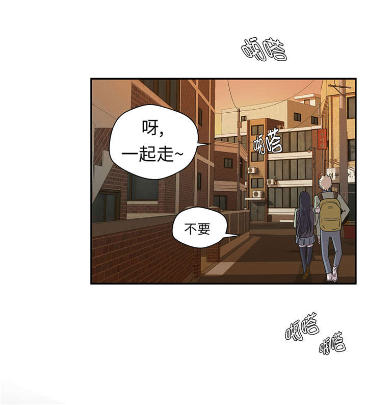 奇妙的动物观评课漫画,第21章：有人跟踪3图