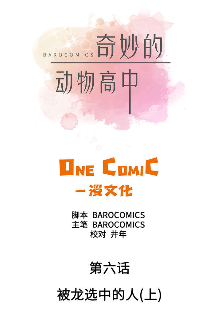 奇妙的动物家庭漫画,第6章： 被龙选中的人(上)1图