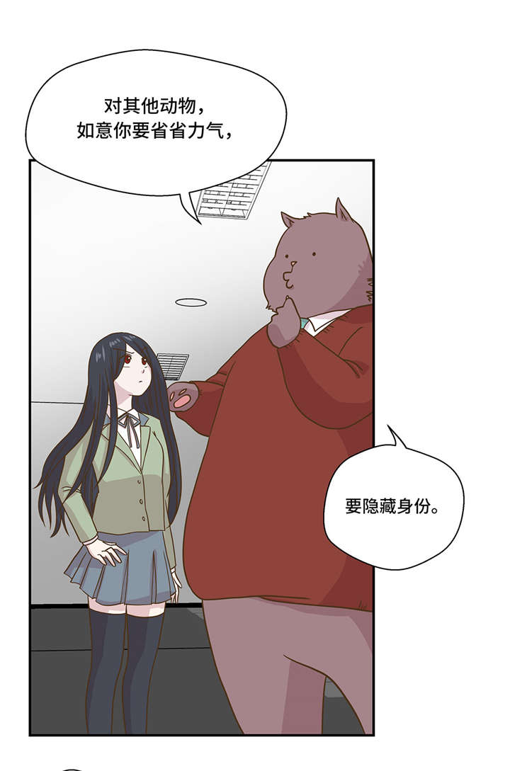奇妙的动物车儿童画漫画,第7章：被龙选中的人(下)3图