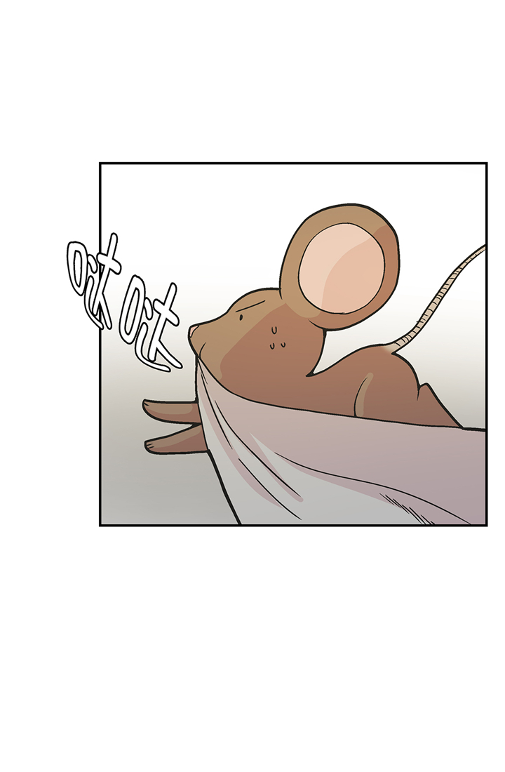 奇妙的动物世界作文600字漫画,第91章：不要放弃，如意！3图