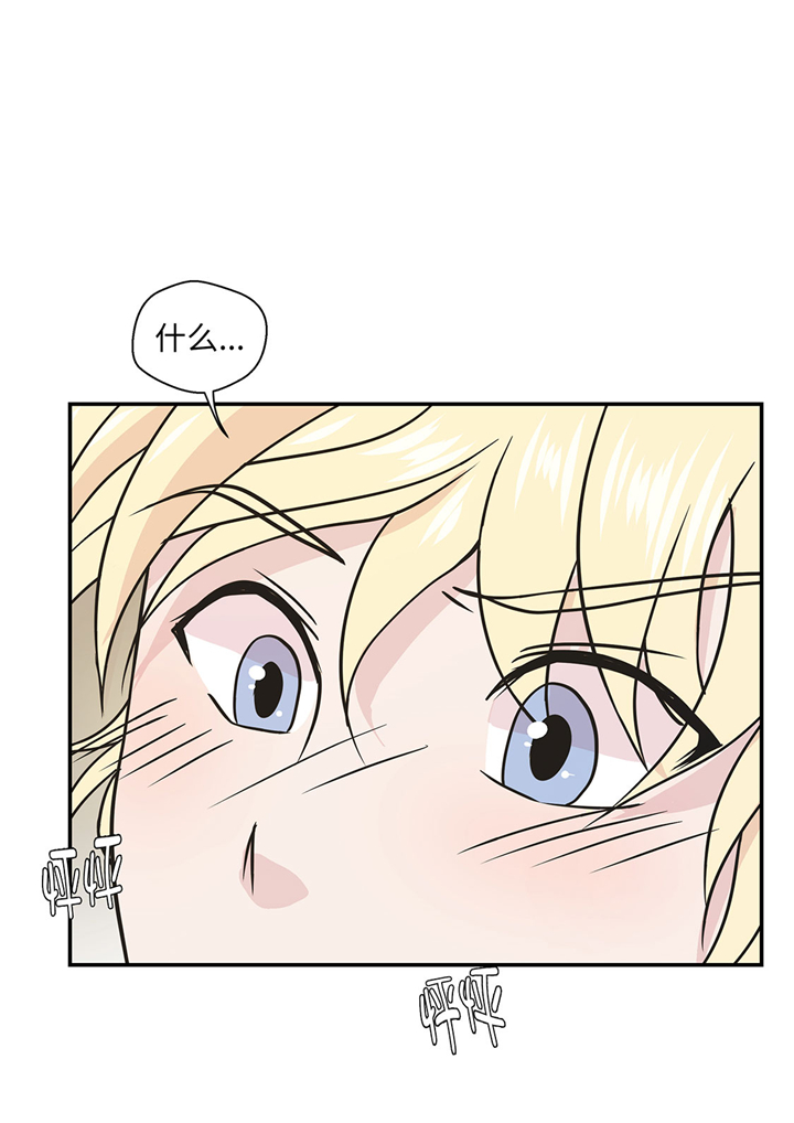 奇妙的动物车儿童画漫画,第61章：大萝卜3图