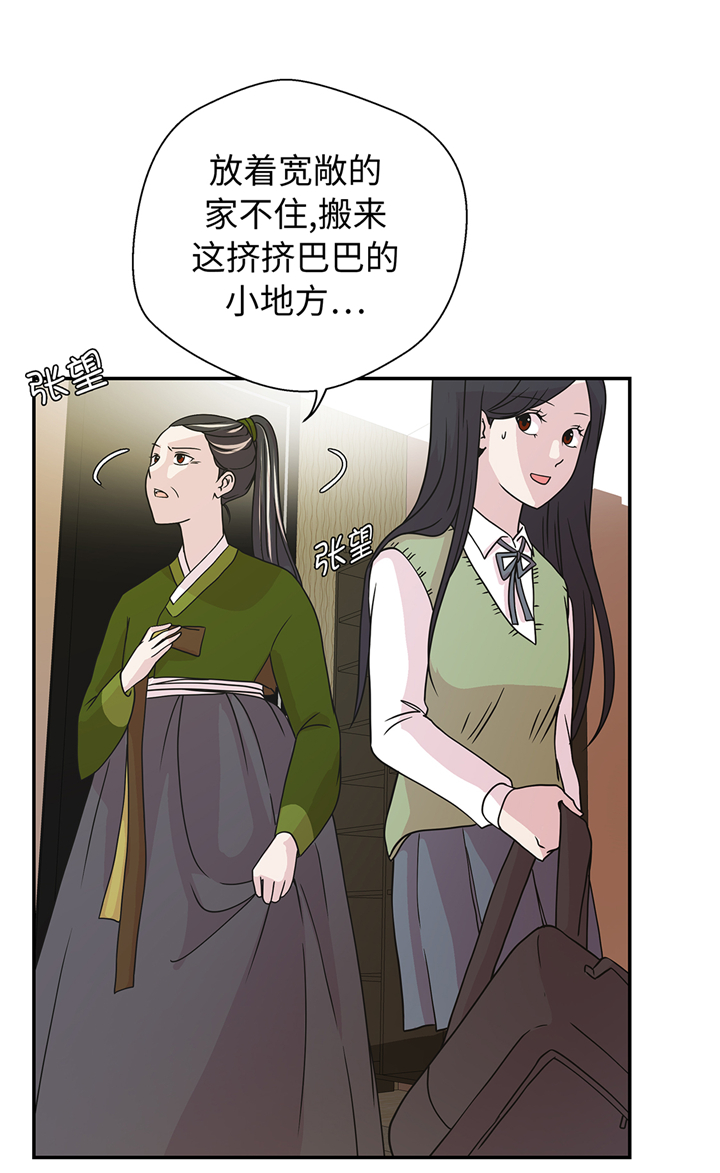 小学课外书奇妙的动物漫画,第77章：庆典前夕1图