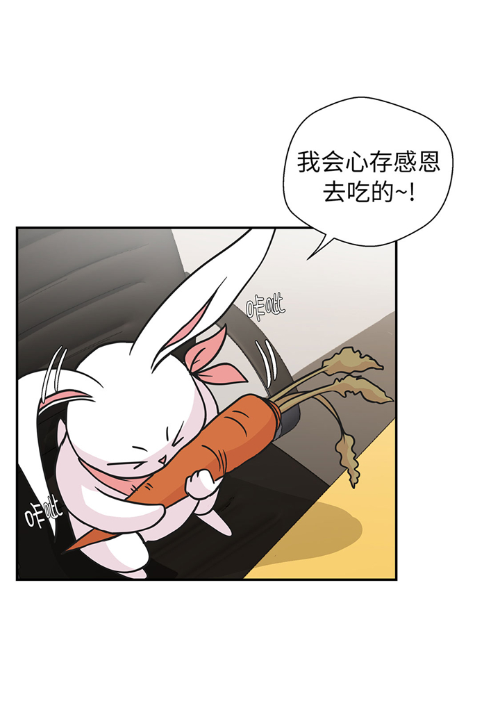 奇妙的动物高中漫画,第61章：大萝卜2图