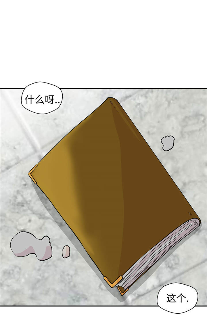 奇妙的动物车儿童画漫画,第49章：传说中的龙2图