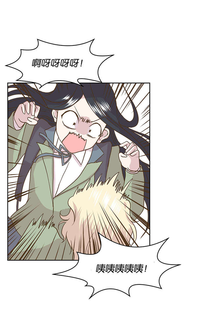 奇妙的动物世界电影漫画,第1章：动物高中1图