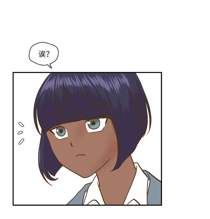 奇妙的动物世界作文600字漫画,第12章：一起回家2图