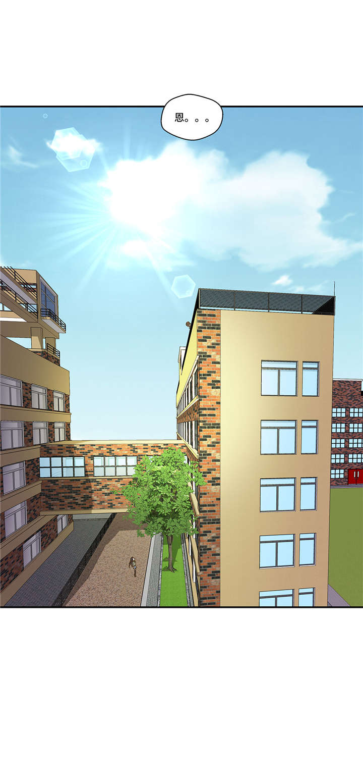 奇妙的动物 儿童动画漫画,第3章： 偶遇（下）3图