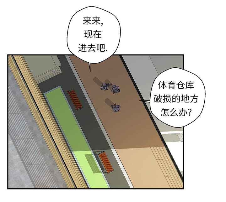 奇妙的动物世界作文600字漫画,第36章：是龙5图