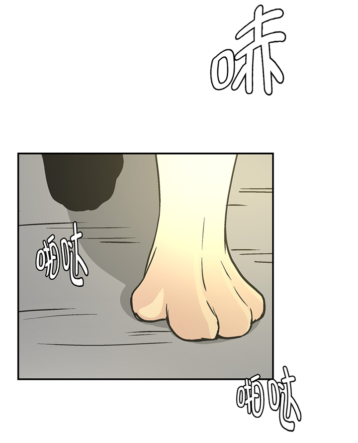 奇妙的动物世界作文600字漫画,第92章：你真傻1图