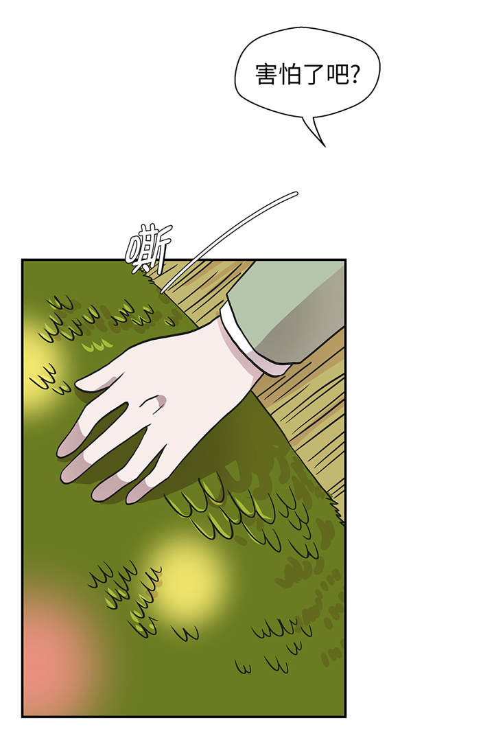 奇妙的动物世界作文600字漫画,第36章：是龙4图