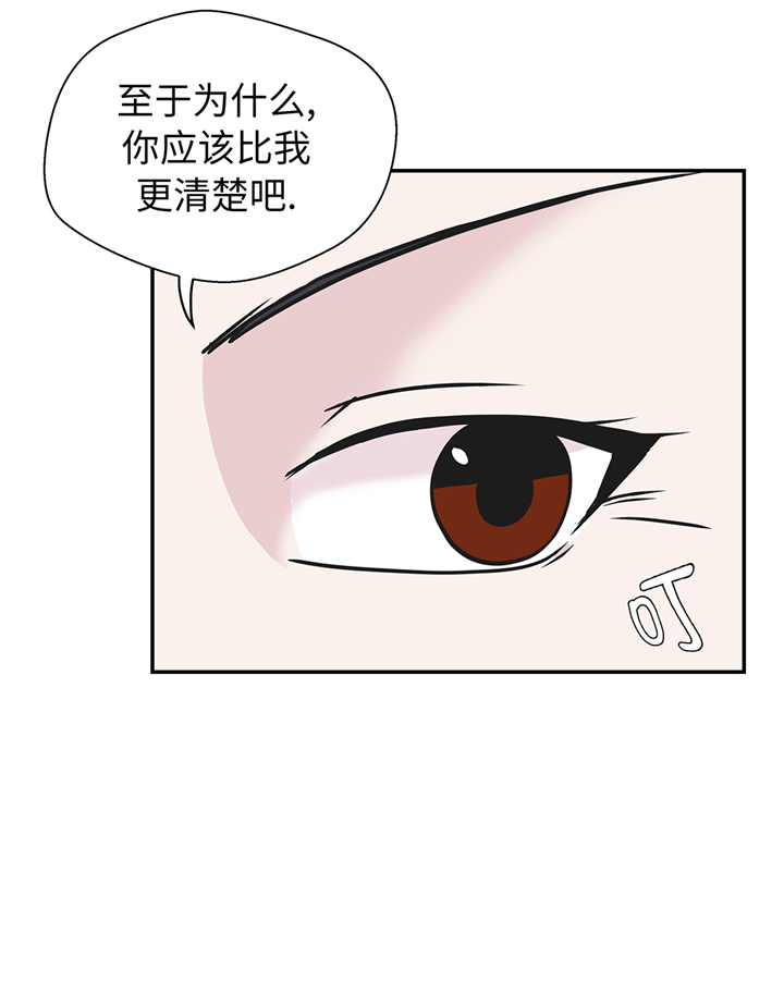 小学课外书奇妙的动物漫画,第77章：庆典前夕2图