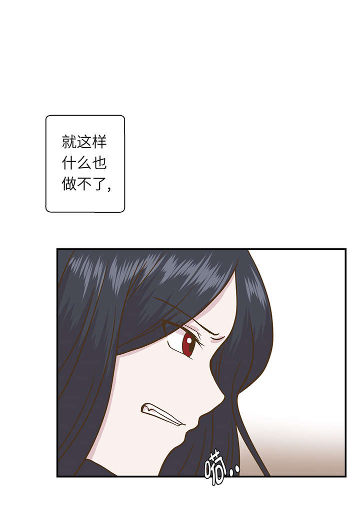 小学课外书奇妙的动物漫画,第15章：什么都做不了3图