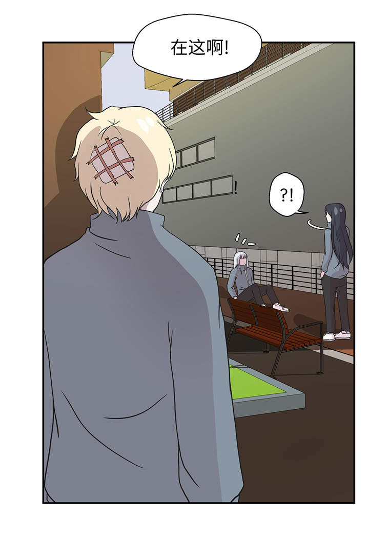 奇妙的动物世界电影漫画,第36章：是龙1图