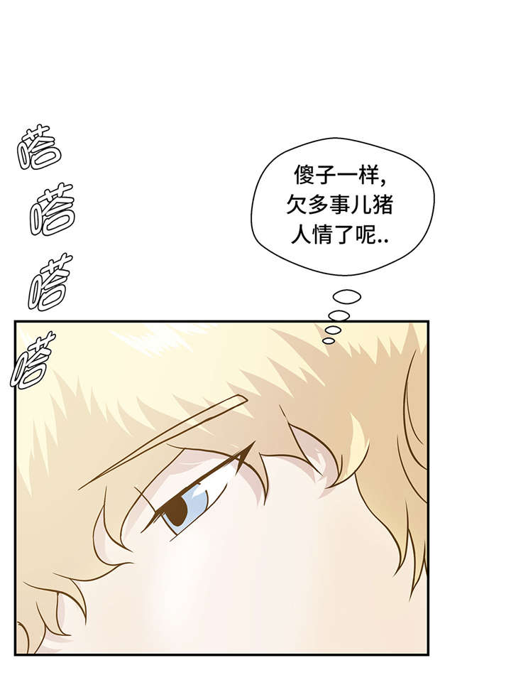 小学课外书奇妙的动物漫画,第13章：惹事猪1图
