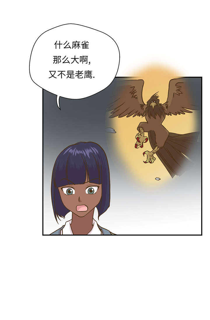 奇妙的动物车儿童画漫画,第16章：狮子莱昂5图