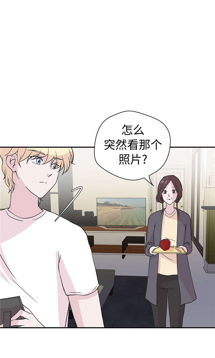 奇妙的动物家庭漫画,第50章：情报能力4图