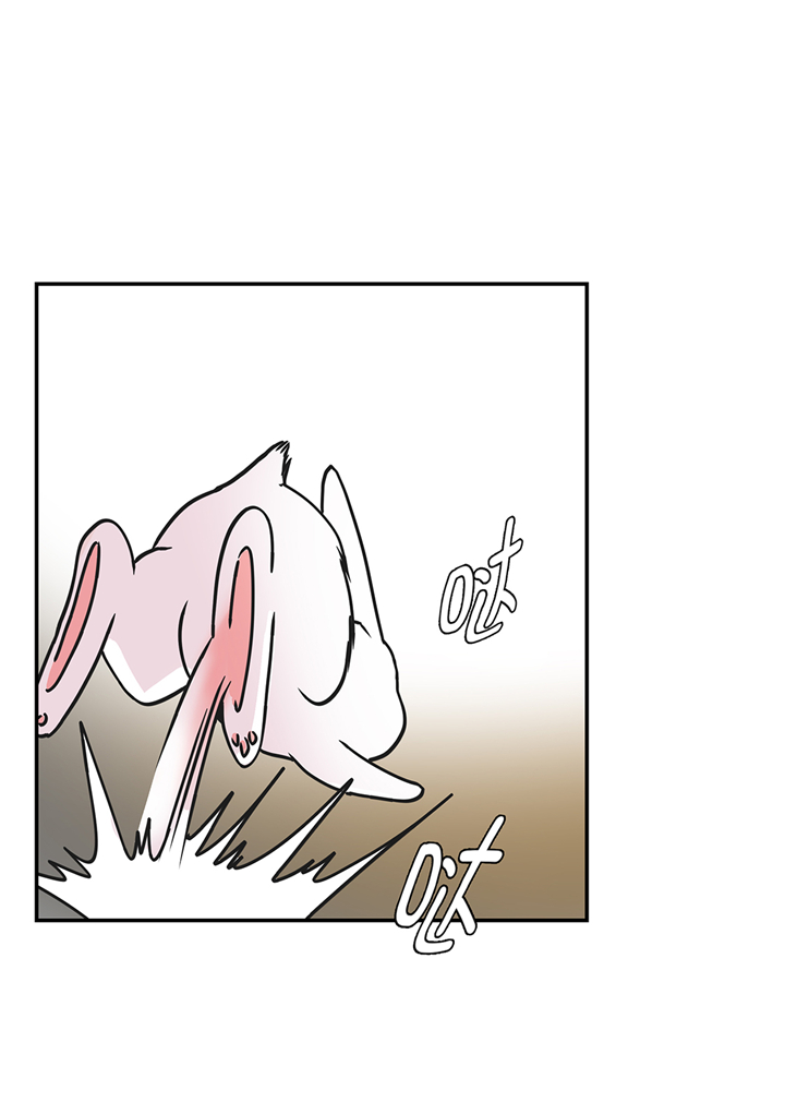 奇妙的动物高中漫画,第75章：真是搞笑2图