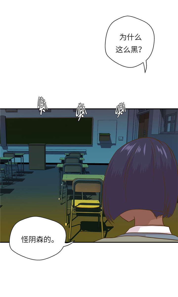 小学课外书奇妙的动物漫画,第13章：惹事猪4图