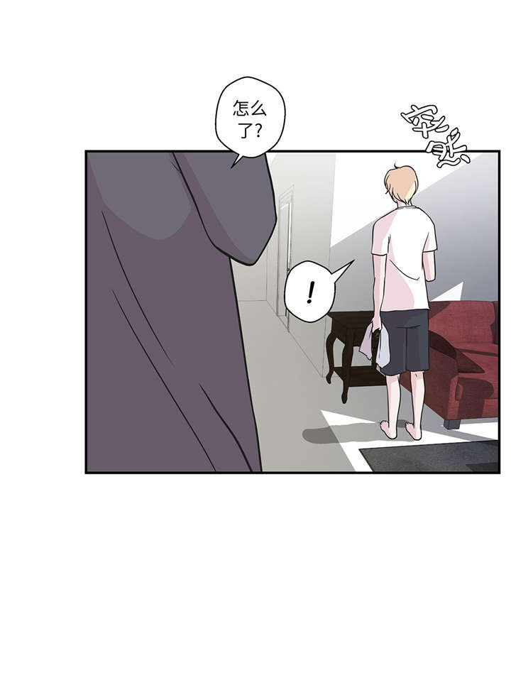 奇妙的动物家庭漫画,第50章：情报能力3图