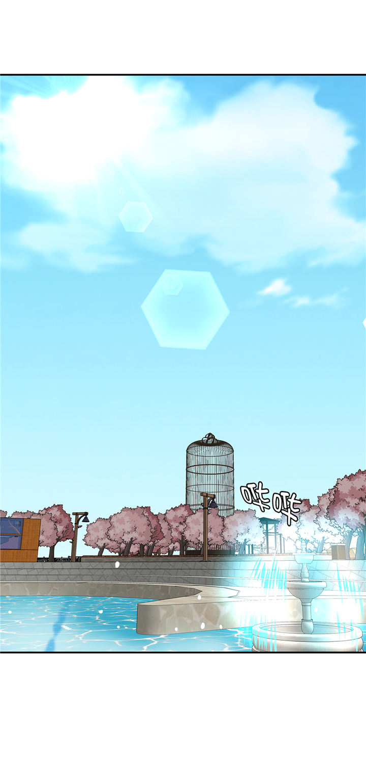 第95章：大结局3