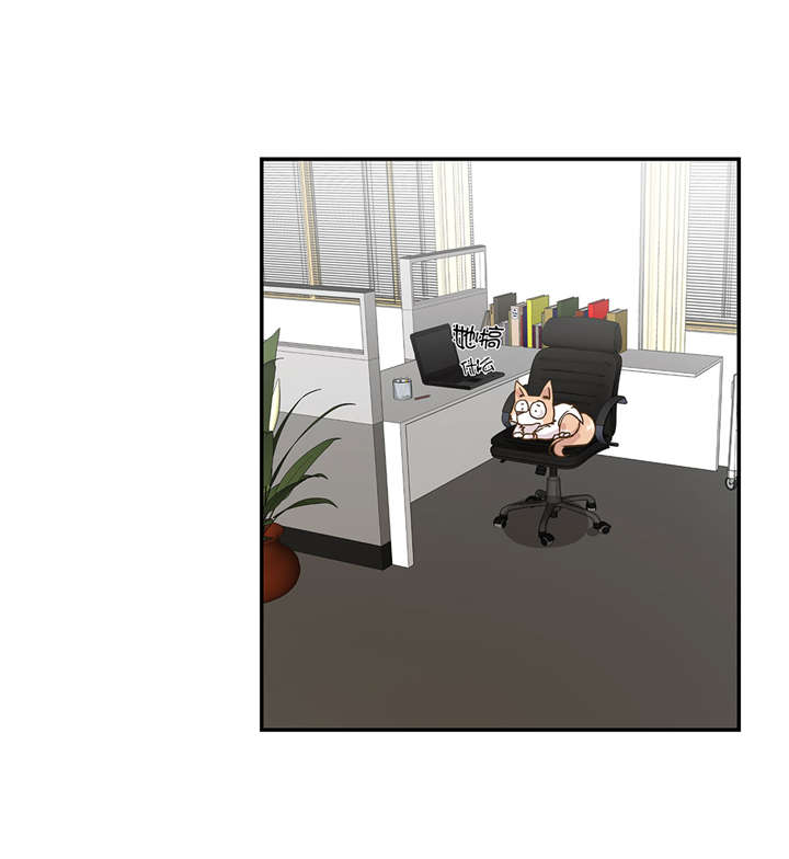 奇妙的动物家庭漫画,第6章： 被龙选中的人(上)1图