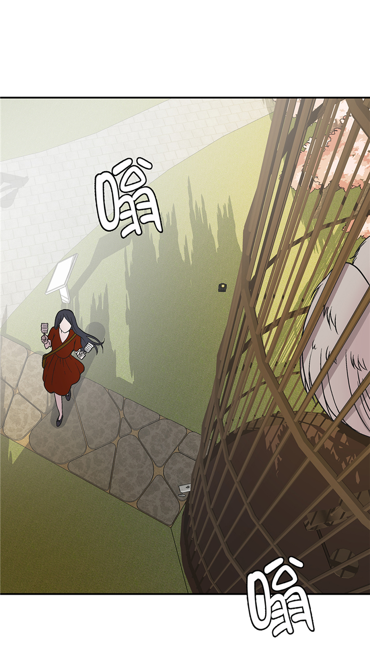 奇妙的动物车儿童画漫画,第95章：大结局4图