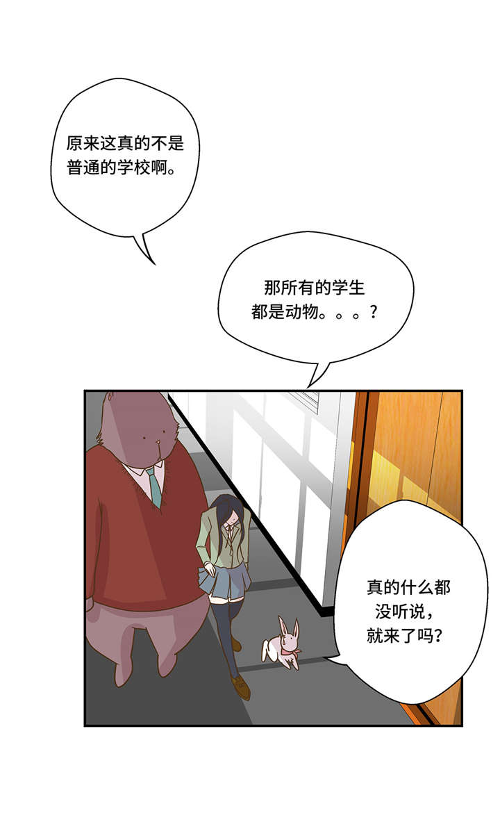 小学课外书奇妙的动物漫画,第7章：被龙选中的人(下)4图