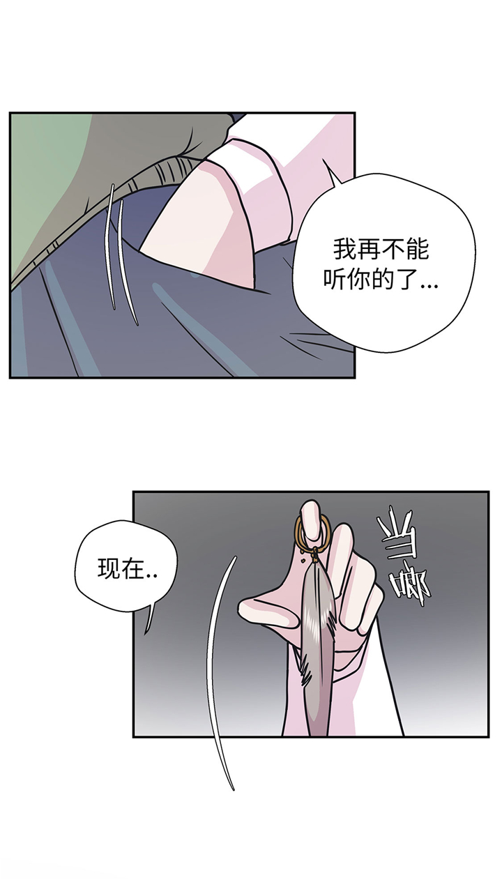 奇妙的动物家庭漫画,第67章：摔倒5图