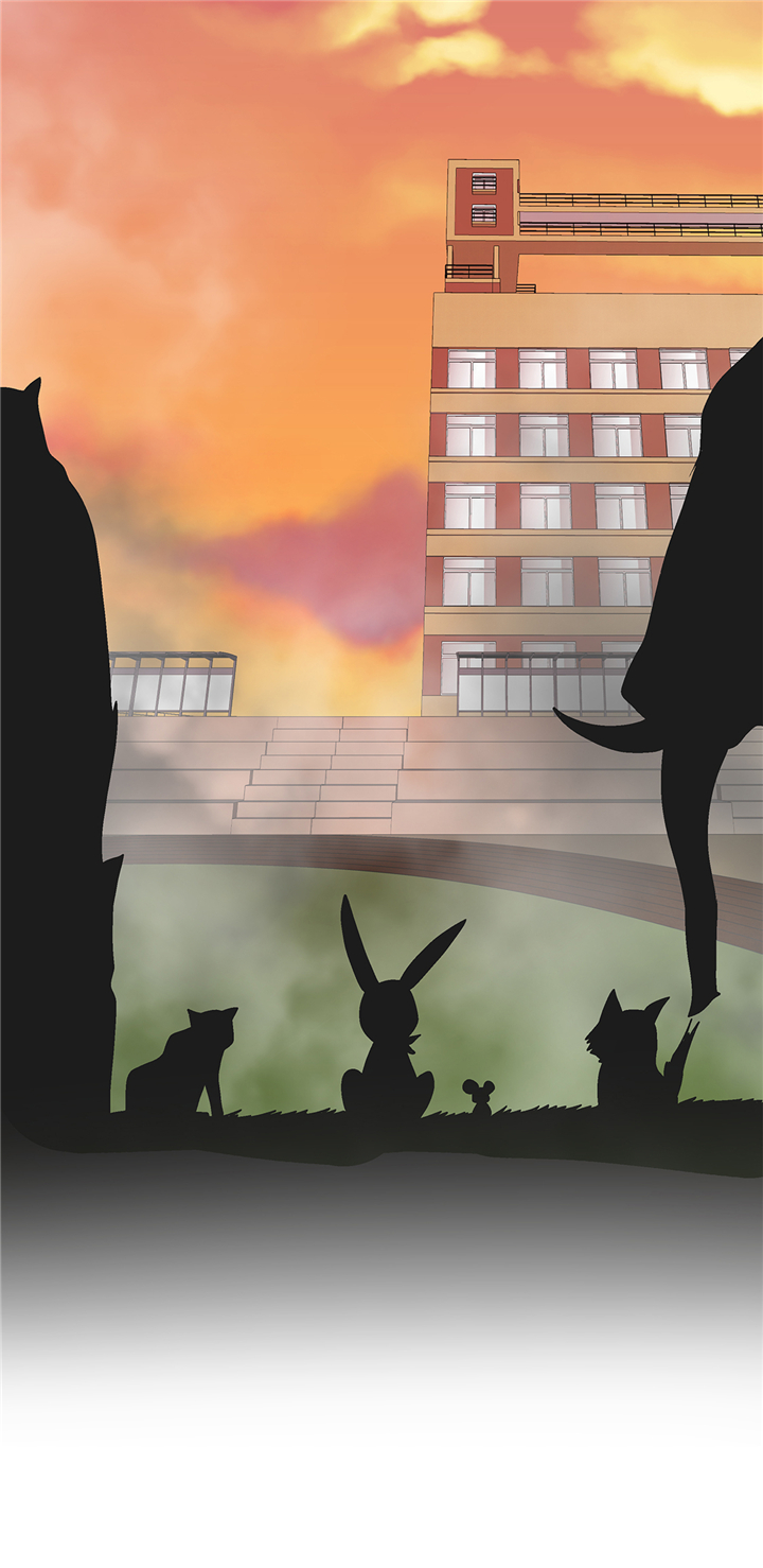 奇妙的动物世界100个字漫画,第92章：你真傻4图