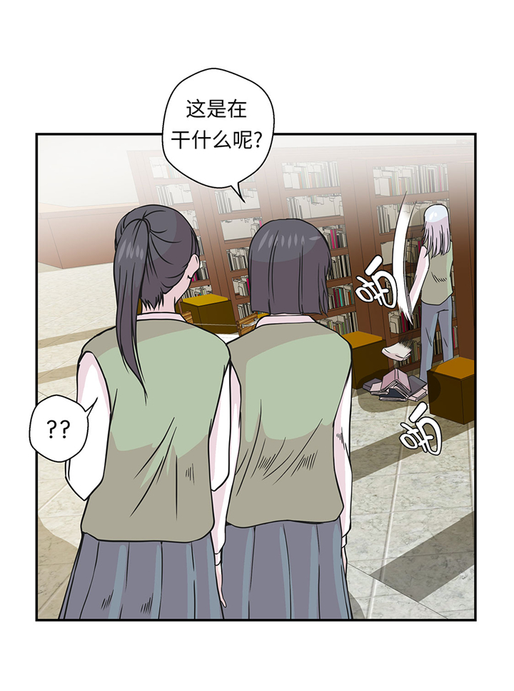 奇妙的动物松鼠漫画,第72章：龙的力量2图