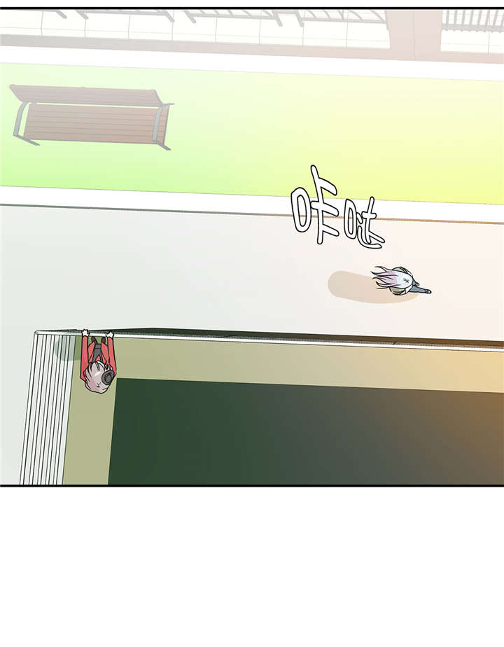 奇妙的动物车儿童画漫画,第54章：歌舞剧2图