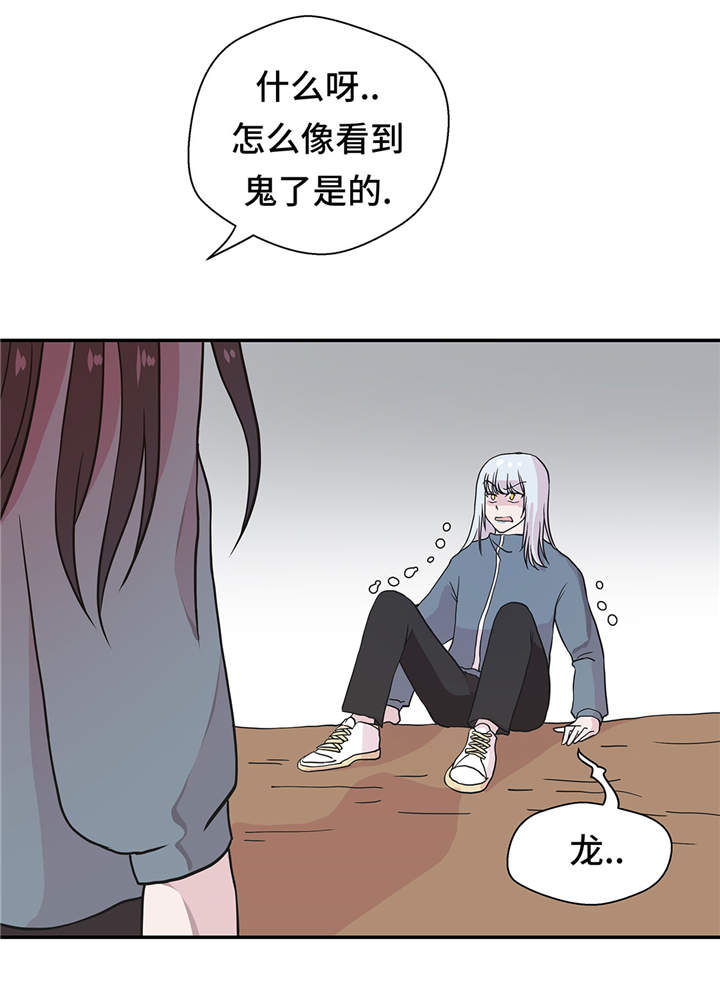 奇妙的动物高中漫画,第36章：是龙5图