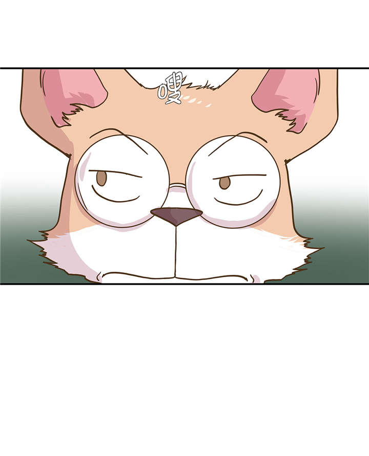 奇妙的动物高中漫画,第16章：狮子莱昂1图