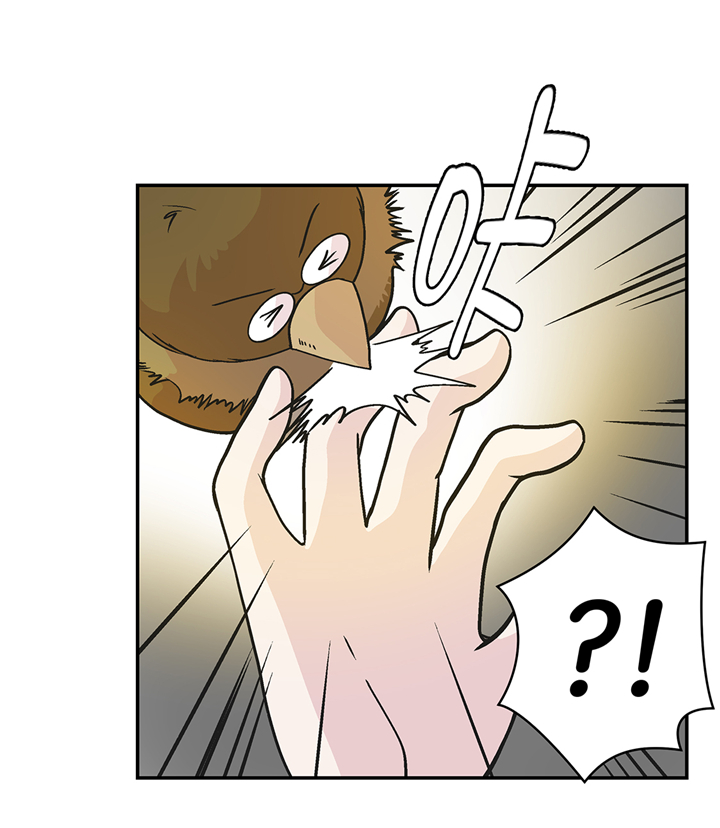 第91章：不要放弃，如意！2