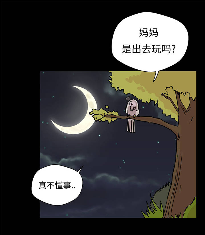 奇妙的动物学校漫画,第38章：不要做伤害人的事4图