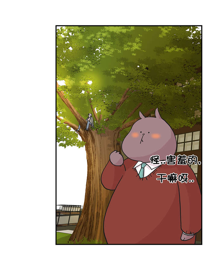 奇妙的动物英语单词漫画,第20章：漂亮的名字1图