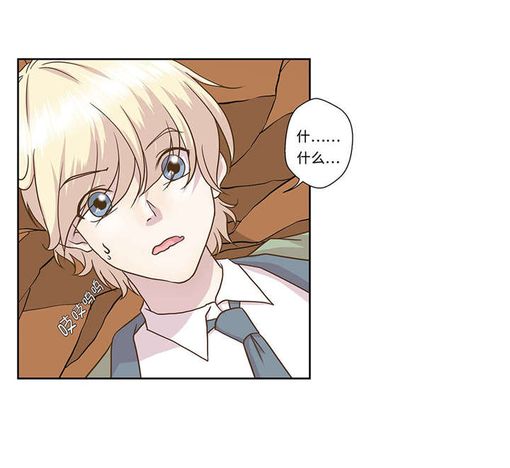 奇妙的动物世界电影漫画,第1章：动物高中1图