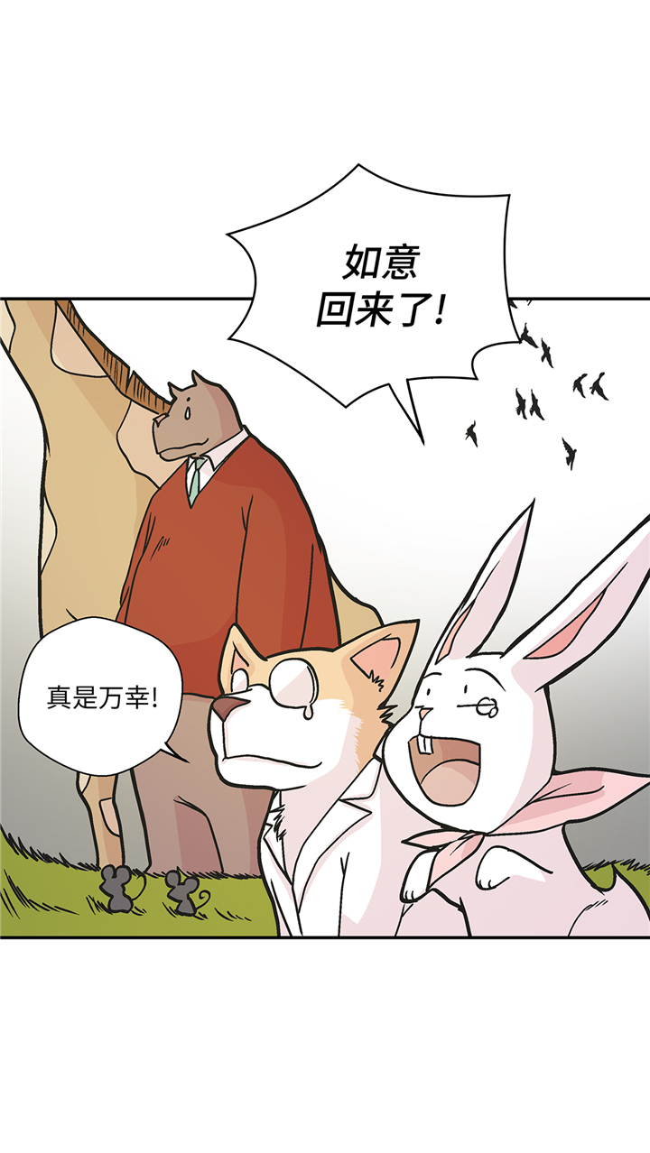 奇妙的动物 孔雀漫画,第93章：如意没事5图