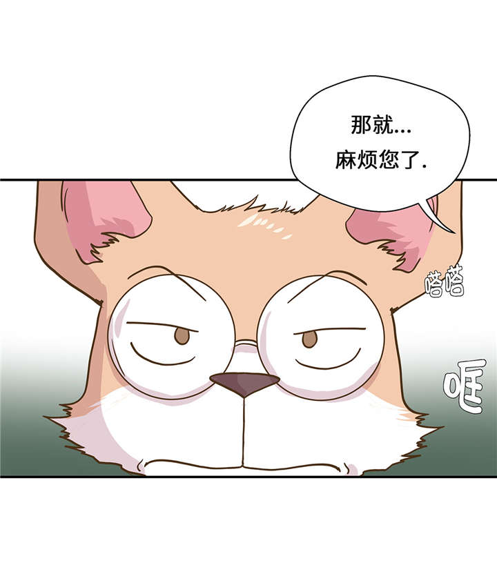 第16章：狮子莱昂4