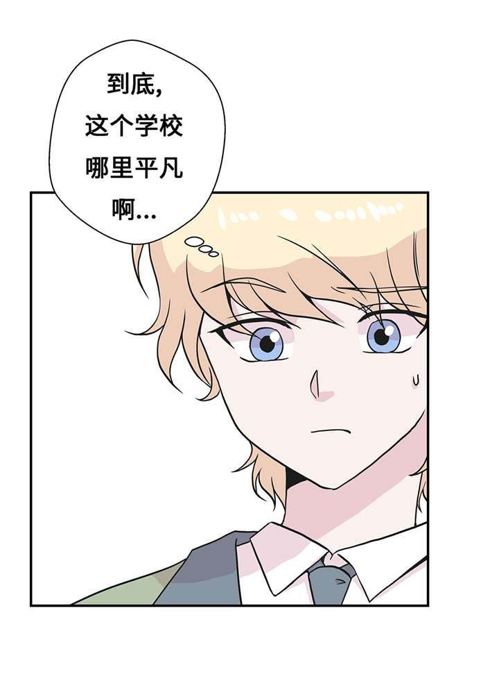 奇妙的动物英语单词漫画,第20章：漂亮的名字2图