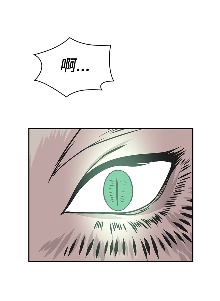 奇妙的动物世界作文600字漫画,第81章：会场袭击1图