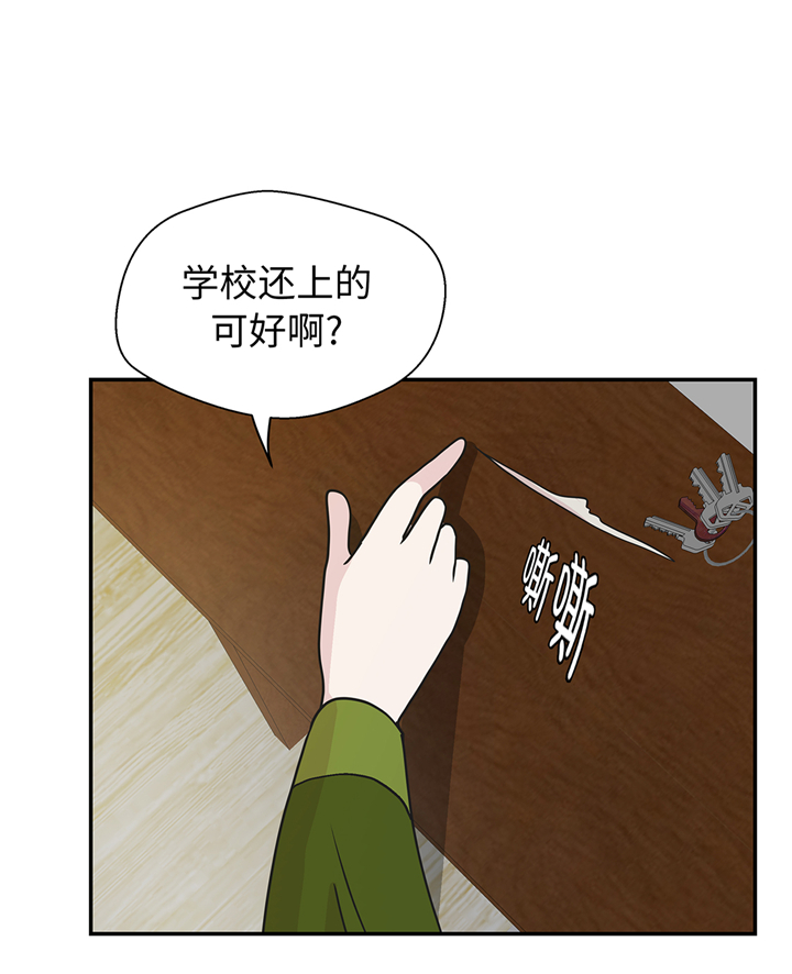 小学课外书奇妙的动物漫画,第77章：庆典前夕2图