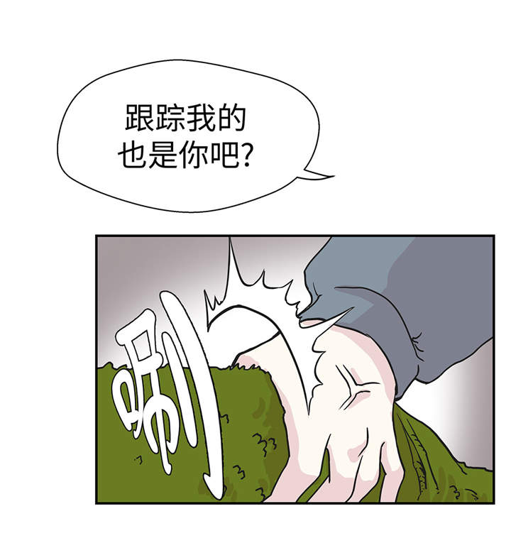 小学课外书奇妙的动物漫画,第34章：显露实力5图