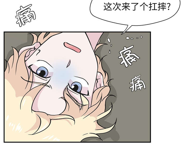 奇妙的动物观评课漫画,第21章：有人跟踪3图