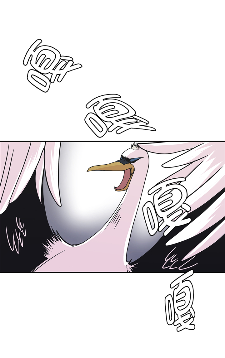 奇妙的动物高中漫画,第80章：激烈的战斗4图