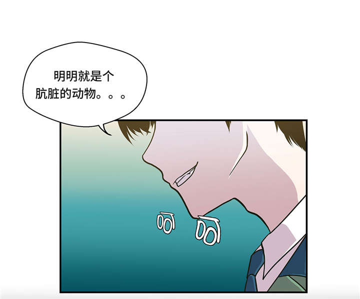奇妙的动物 儿童动画漫画,第3章： 偶遇（下）1图